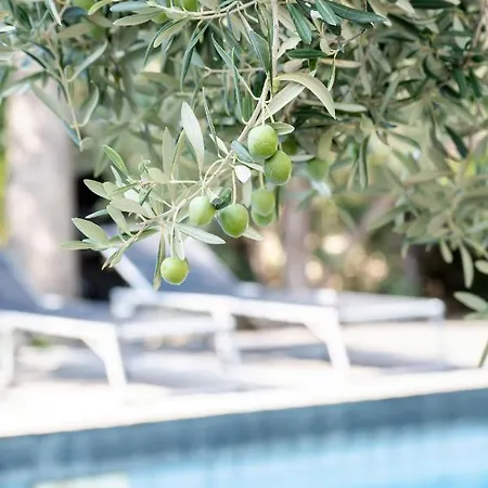 Boy & Pool Girl Διαμέρισμα